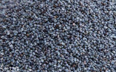 罂粟籽的主要作用(罂粟籽的功效和作用) 罂粟籽的主要作用(罂粟籽的功效和作用)