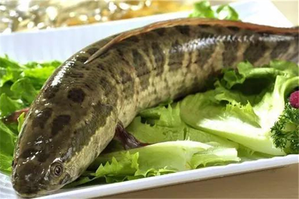 izia香水香评(香水评价网站)