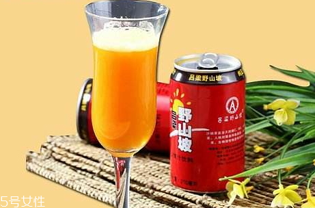 沙棘汁的做法(沙棘汁的制作方法) 沙棘汁的做法(沙棘汁的制作方法)