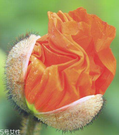 钓鱼的正确方式(钓鱼的正确方式)