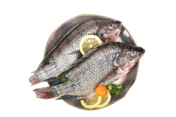 罗非鱼可以红烧吗(罗非鱼可以红烧吗) 罗非鱼可以红烧吗(罗非鱼可以红烧吗)