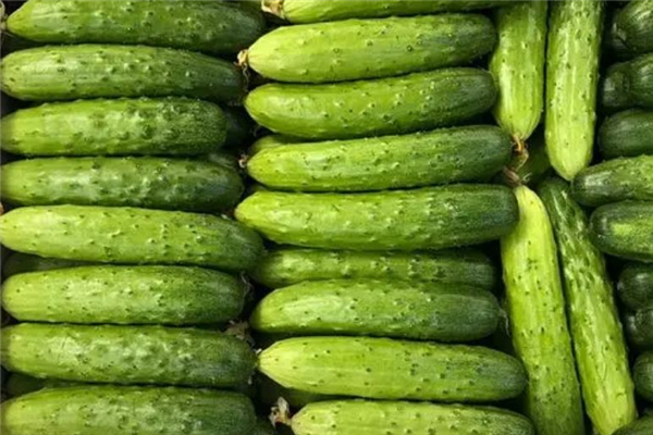 水果黄瓜洗干净可以直接吃吗(水果黄瓜洗干净可以直接吃吗)