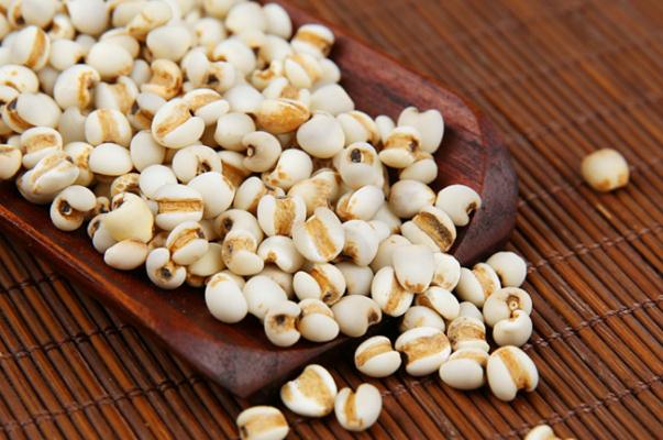 薏米是凉性还是温性(薏米和什么一起煮去湿气)