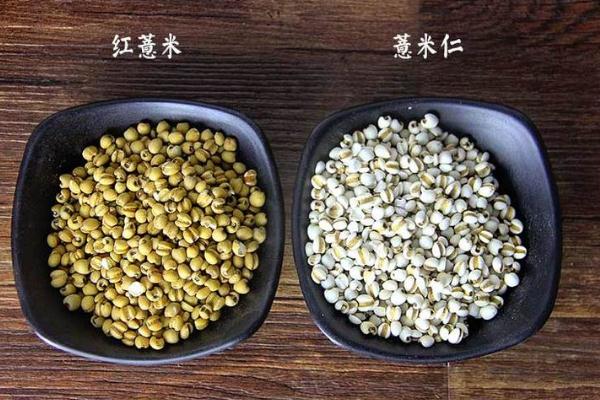 薏米要煮多久才熟(红豆薏米要煮多久才熟)
