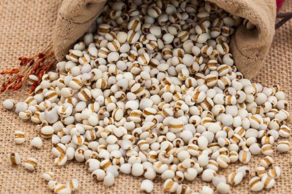 薏米孕妇吃了会怎样(薏米孕妇吃了会怎样)