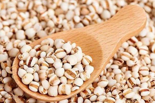 薏米的种类(薏苡仁是什么样子的) 薏米的种类(薏苡仁是什么样子的)