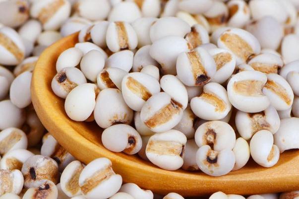 薏米怎么吃最除湿(薏米怎么吃最除湿减肥)