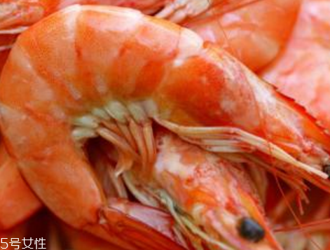 北极虾什么时候吃比较好(北极虾几月份的最好)