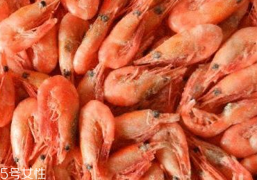 活的基围虾怎么挑选(如何挑选新鲜的基围虾)