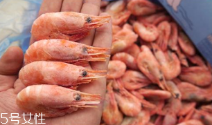 北极虾的形态特征(北极虾是什么虾)