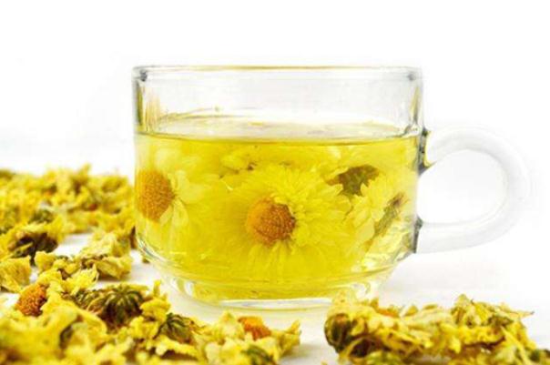 喝菊花茶有什么效果(喝菊花茶有什么效果)