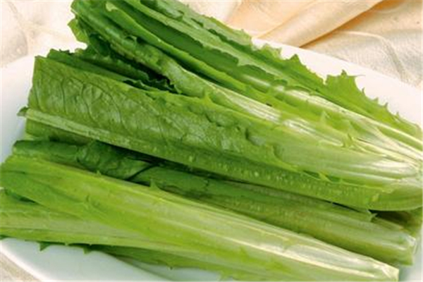 油麦菜吃多少量为好(油麦菜吃多少量为好) 油麦菜吃多少量为好(油麦菜吃多少量为好)
