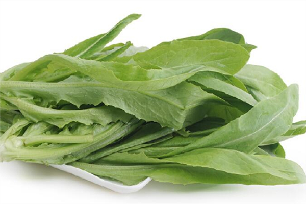 油麦菜对高血压有好处吗(油麦菜对高血压有好处吗) 油麦菜对高血压有好处吗(油麦菜对高血压有好处吗)