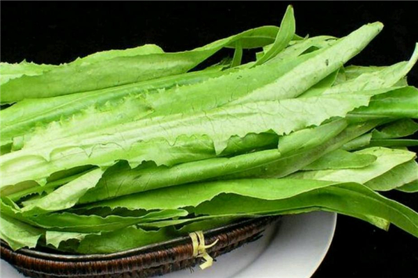 油麦菜适合什么季节吃(油麦菜适合什么季节吃)