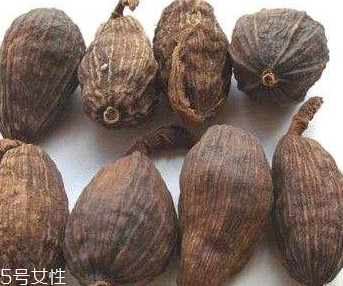草果的好处(草果有什么用处)