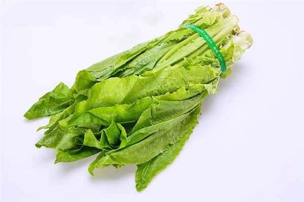 油麦菜炒多久熟(油麦菜炒多久熟)