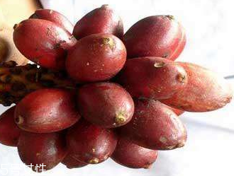 草果的做法(草果的做法) 草果的做法(草果的做法)