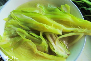 霸王花的功效作用(霸王花的功效作用)