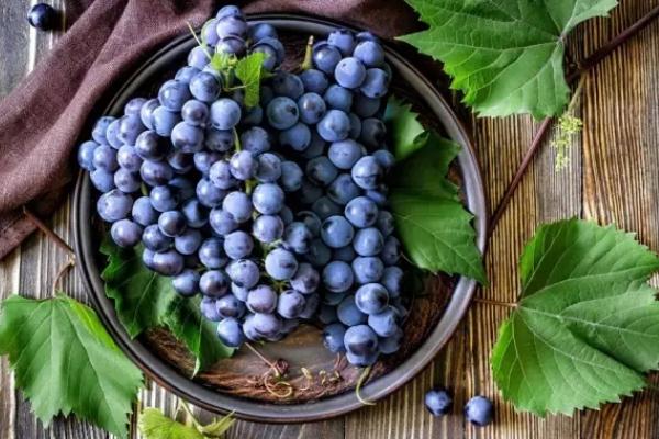 巨峰葡萄孕妇可以吃吗(巨峰葡萄孕妇可以吃吗)