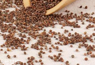 紫苏子的价格(紫苏子价格)