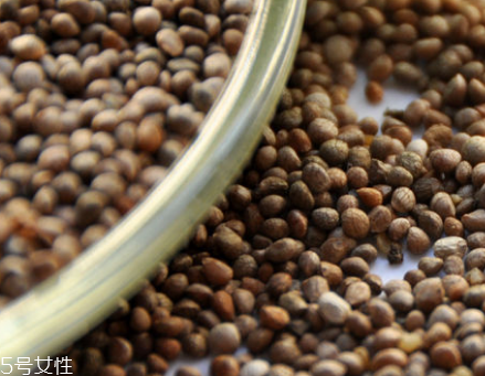 紫苏子能给孕妇吃吗(紫苏子孕妇可以食用吗)