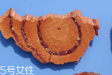 鸡血藤的选购技法(鸡血藤怎么选)