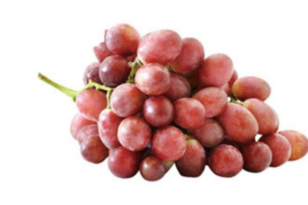 什么人吃红提不能吃籽(红提籽可以吃么)