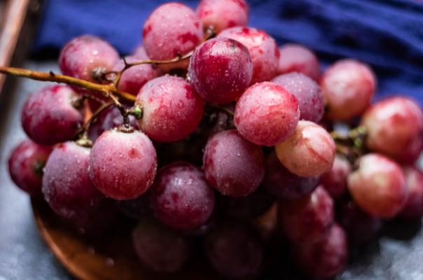 红提孕妇吃有什么好处(红提孕妇吃有什么好处) 红提孕妇吃有什么好处(红提孕妇吃有什么好处)