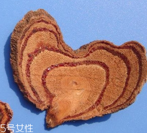 鸡血藤如何挑选(鸡血藤手镯怎么挑选)