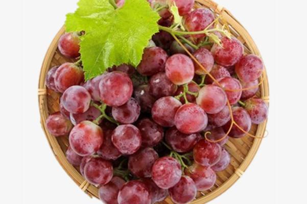 红提是酸性还是碱性(红提是酸性还是碱性水果)