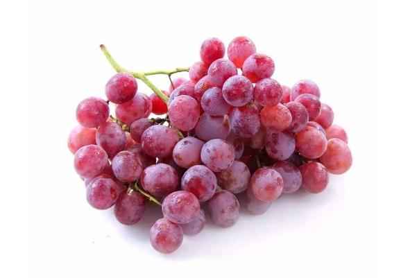 红提的糖分高吗(红提的糖分高吗) 红提的糖分高吗(红提的糖分高吗)