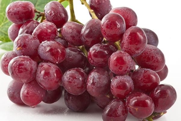 红提是发物吗(红提是发物吗)