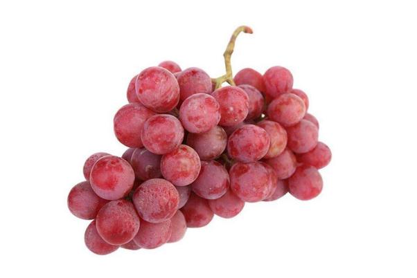 红提子的禁忌(红提子的禁忌)