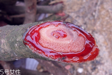 降血压的最好方法(降血压的最好方法有哪些)