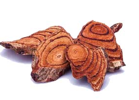 鸡血藤的营养成分(鸡血藤的营养成分)