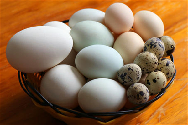 鸡蛋隔水蒸多久能熟(带壳鸡蛋隔水蒸多久能熟) 鸡蛋隔水蒸多久能熟(带壳鸡蛋隔水蒸多久能熟)