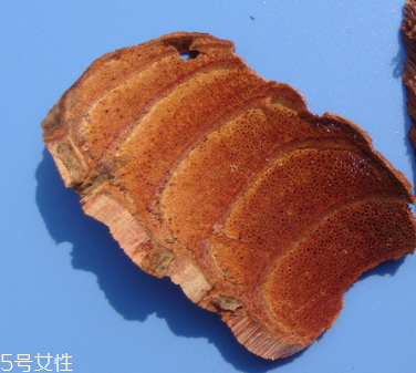 鸡血藤的好处(鸡血藤的作用是什么)