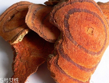 鸡血藤的功效作用(鸡血藤的功效作用和主治)