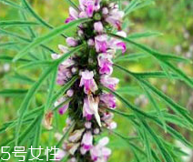 泡脚的好处(泡脚的好处和功效)