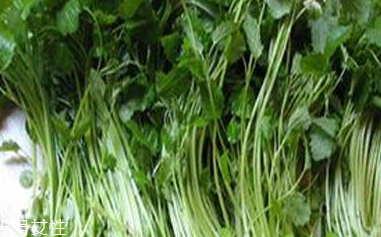 益母草的使用禁忌(益母草的使用禁忌)