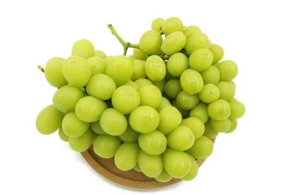 青提可以和牛奶一起吃吗(青提子可以和牛奶一起吃吗)