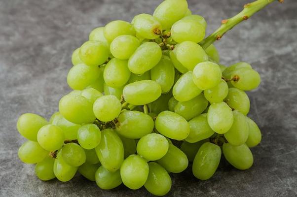 吃青提会上火吗(吃青提子会上火吗)