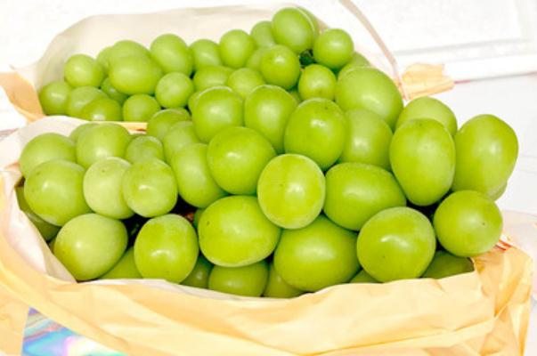 青提的含糖量高吗(青提的含糖量高吗)