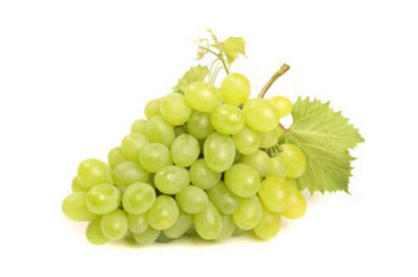 青提子是凉性还是热性(青提子是凉性还是热性水果) 青提子是凉性还是热性(青提子是凉性还是热性水果)