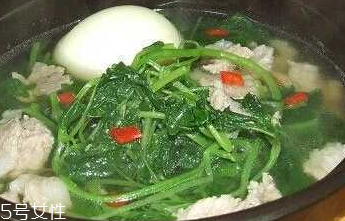 益母草怎么晒干(益母草怎么晒干制作方法)