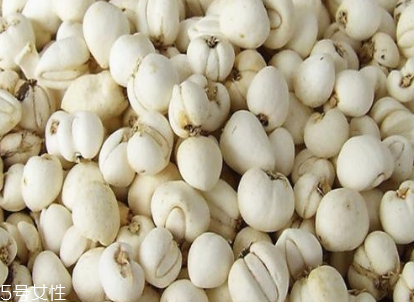 网上的川贝母好吗(川贝母长什么样子)