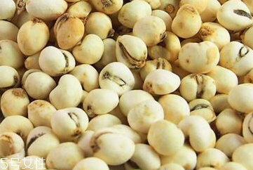 川贝母怎么挑选(怎样挑选川贝母)