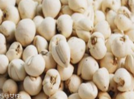 川贝母不适合哪些人吃(川贝母不适合哪些人吃)