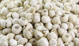 糖尿病病人能吃川贝母吗(糖尿病人可以吃川贝母吗)