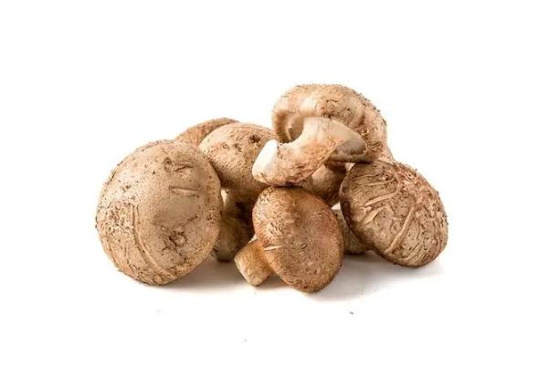 香菇可以生吃吗(香菇可以生吃吗?) 香菇可以生吃吗(香菇可以生吃吗?)